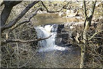 NY8900 : Kisdon Upper Force by Russel Wills