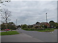 Looking from Woodstock Lane North into Rector Lane