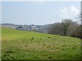 View of Holcombe Burnell church and farm from Garden Down