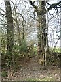 Stile and steps for footpath west of Shepherd