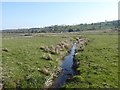 Ditch at Butterwick