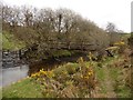 Footbridge on Dane