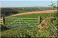 Farmland near East Allington