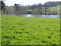 South-western end of the lake in the Dromantine Estate parkland