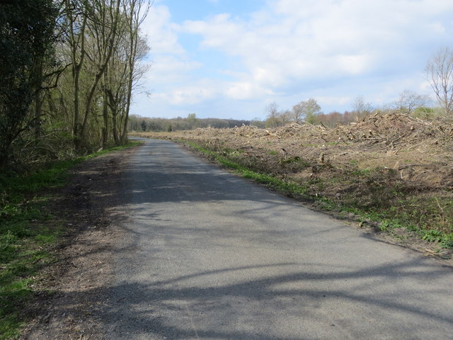 Highfield Lane between Dawland Wood and the felled Ox Stocking Wood