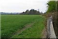 Field by Cheddington road with woodland beyond