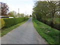 Chapel Road approaching Groves Farm