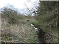 Hummer Beck, looking downstream [locally east]