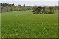 SU1930 : Field west of Beechy Dean Copse by David Martin