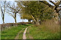 Path on track near Pitton