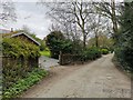 Unadopted road through Poynton Coppice