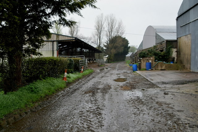 Muddy road at Tattraconnaghty