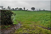 H4276 : Muddy entrance to field, Mountjoy Forest West Division by Kenneth  Allen