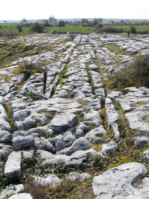 Limestone pavement, The Burren