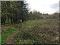 SP3477 : Footpath towards the River Sherbourne and Charterhouse Field, Coventry by Robin Stott