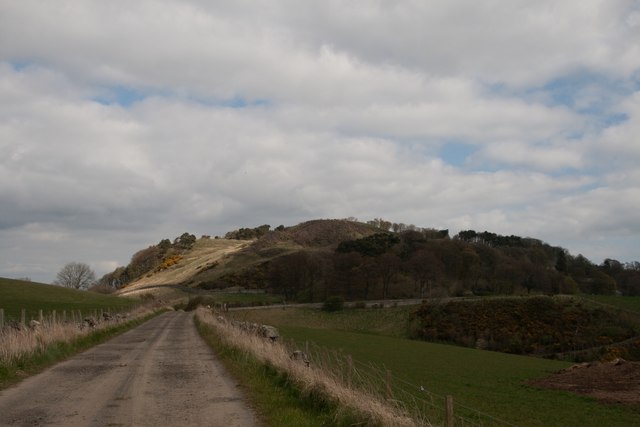 Torry Hill