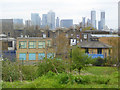 View SE from mound in Mile End Park