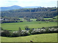 Goraghwood Quarry from Carrickrovaddy Road