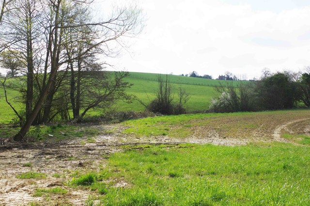 Fields near Kinlet, Shrops