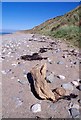 SC3499 : Driftwood on The Beach Near Cronk ny Arry Lhaa by Glyn Baker