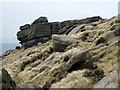 SK0689 : Gritstone outcrops above William Clough by John H Darch