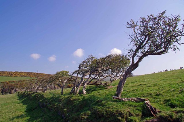 Wind Ravaged Trees by the Raad ny... © Glyn Baker cc-by-sa/2.0 ...