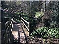 Footbridge near Lurgashall Church