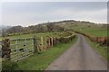 Country lane through Flatterton Farm