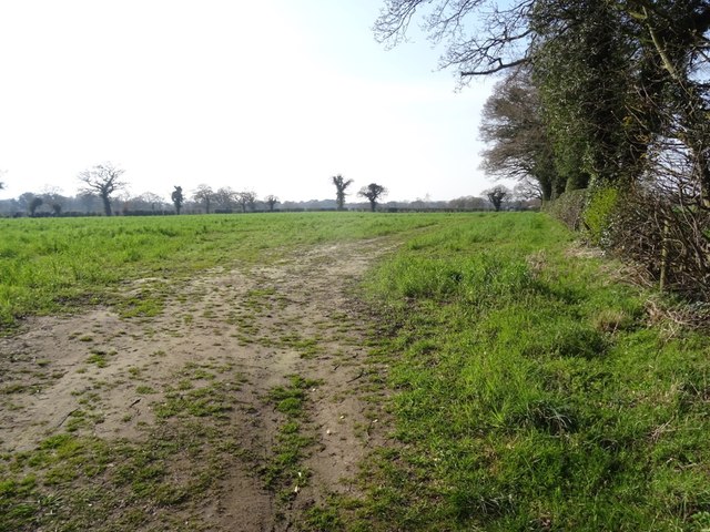 Field off Beech Road