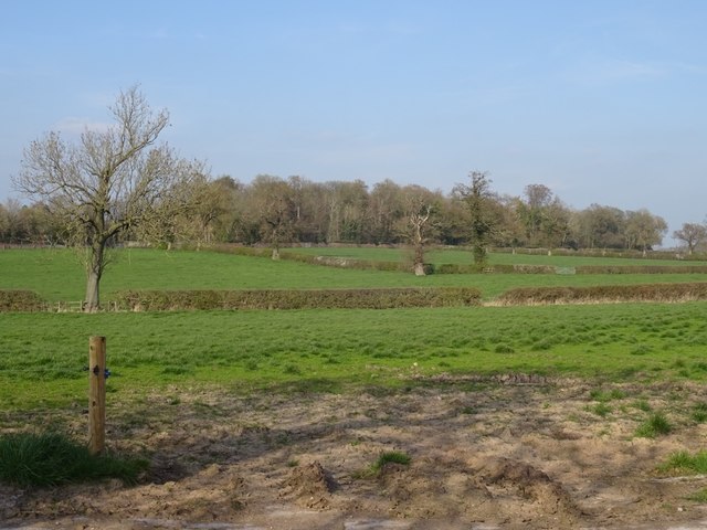 Pasture, Parkwall Farm