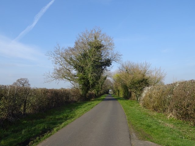 Lane to Oxheys