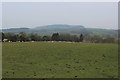 View towards Beacon Fell Country Park