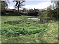 Small pond in Ewhurst