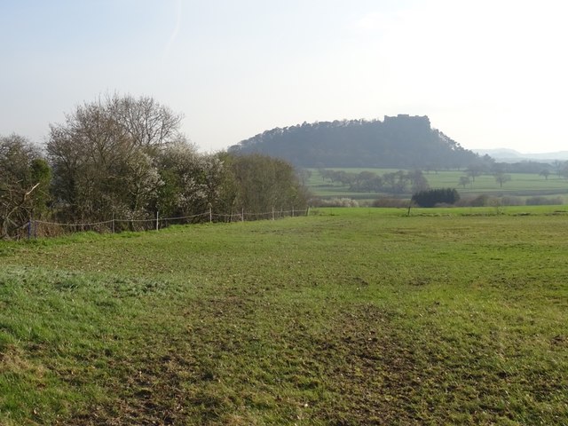 Field of Huxley Lane