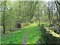 Bridleway crossing Hebden Beck