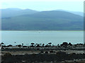 Boulder strewn foreshore at Trwyn y Penrhyn