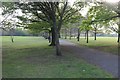 Path in Hendon Park