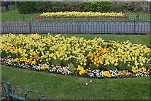 TQ2388 : Flowerbed in Hendon Park by David Howard