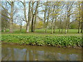 Westleigh Brook and the golf course