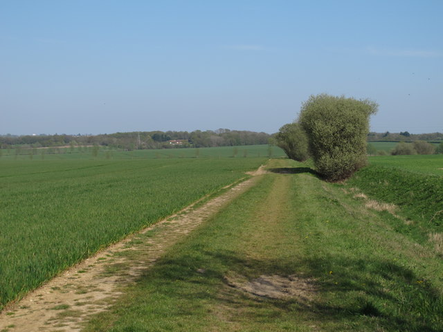 Footpath along Ditch, near Salmond's Farm, Ingrave