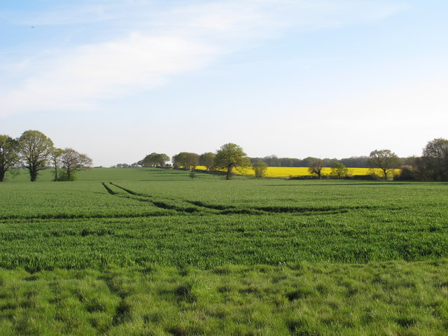 Arable Land, south of Hutton Church 