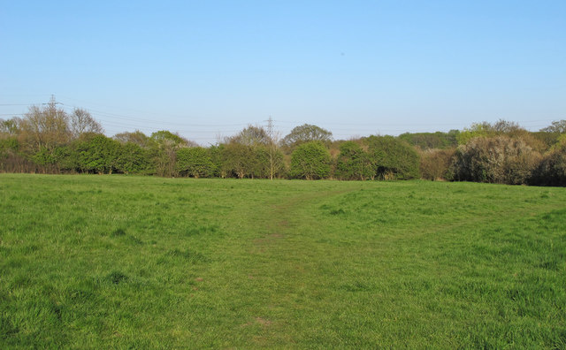 Hutton Country Park - Local Nature... © Roger Jones :: Geograph Britain ...