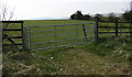 Five-bar field gate, Llechryd