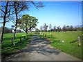 National Cycle Route 76, near Cambus