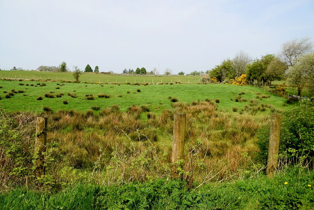 Rushy ground, Aghnahoo © Kenneth Allen :: Geograph Ireland