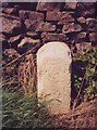 Old Milestone by the B6165, Hartwith cum Winsley parish