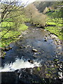 Afon Ceiriog