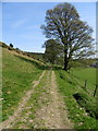 Track to Pen-y-Gwely reservoir