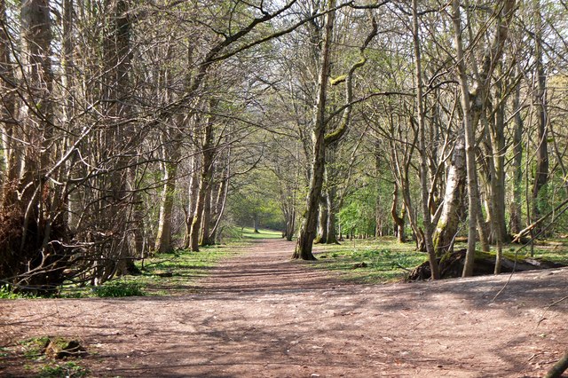 Woodland path near the Tweed, Peebles © Jim Barton cc-by-sa/2.0 ...