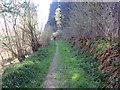 Llwybr ger Coed Ty-hen / Path near Ty-Hen Woods